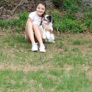 Meet your Posher, Don